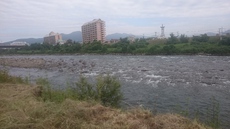 渡良瀬川の様子を見てきました.(桐生地区）