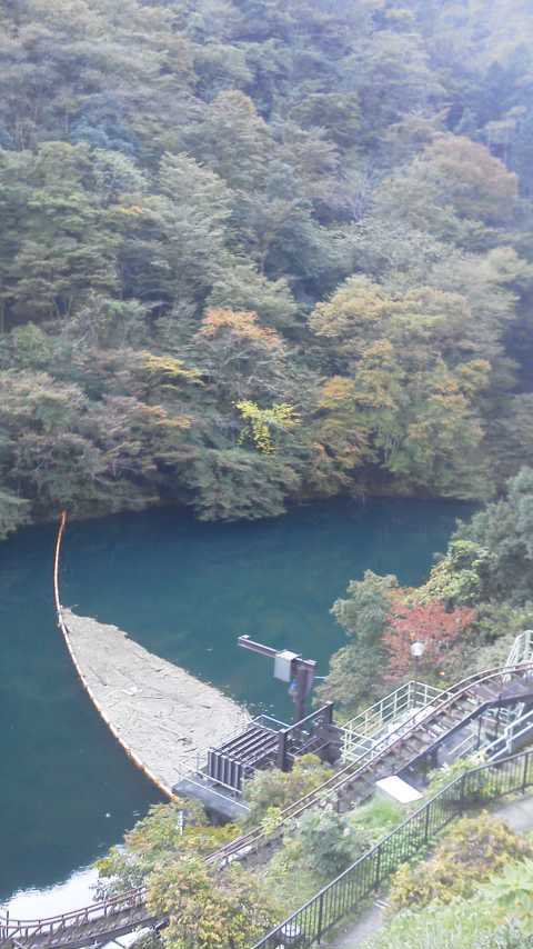 11/5 FTR223de奥多摩湖・名栗湖 11/5 FTR223de奥多摩湖・名栗湖