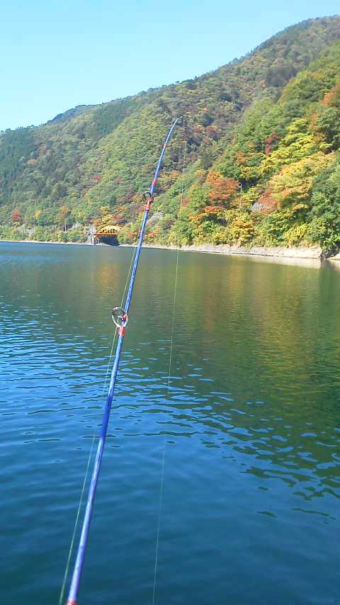 11/5 FTR223de奥多摩湖・名栗湖 11/5 FTR223de奥多摩湖・名栗湖
