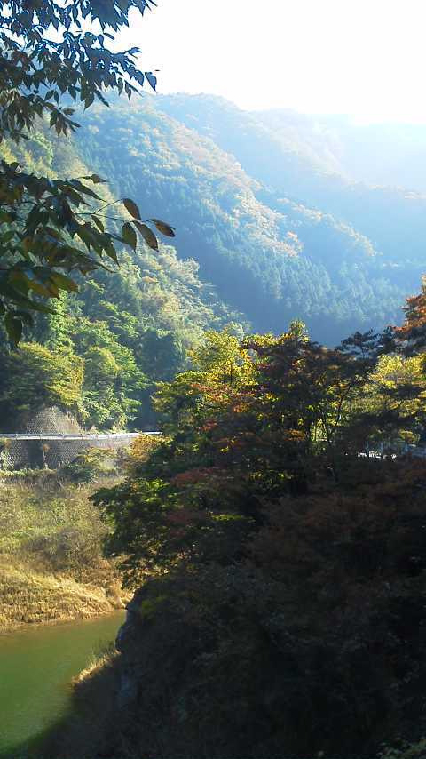 11/5 FTR223de奥多摩湖・名栗湖 11/5 FTR223de奥多摩湖・名栗湖