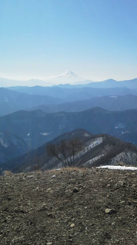 1/28 カブde鷹ノ巣山 1/28 カブde鷹ノ巣山