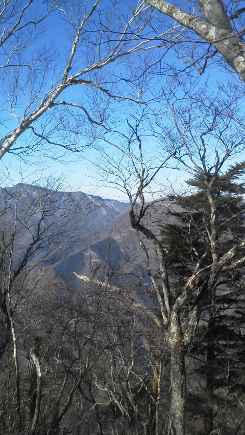 1/28 カブde鷹ノ巣山 1/28 カブde鷹ノ巣山