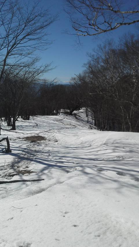 1/28 カブde鷹ノ巣山 1/28 カブde鷹ノ巣山