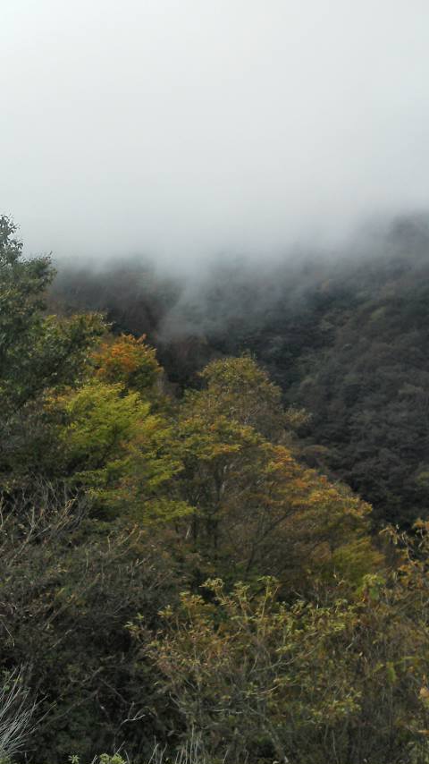 10/9 FTR223de蕎麦粒山 10/9 FTR223de蕎麦粒山