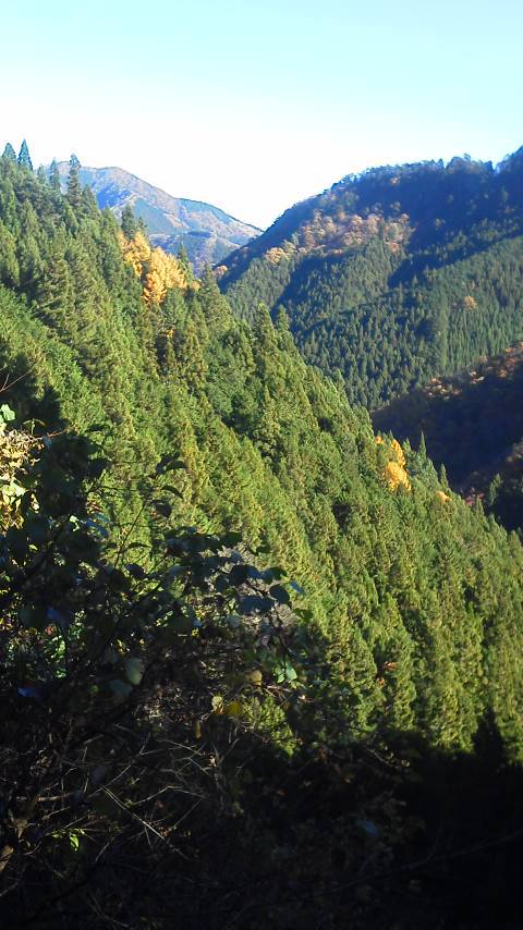 11/19 カブde大岳山 11/19 カブde大岳山