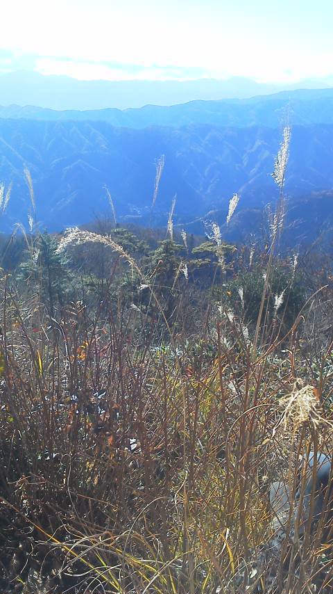 11/19 カブde大岳山 11/19 カブde大岳山