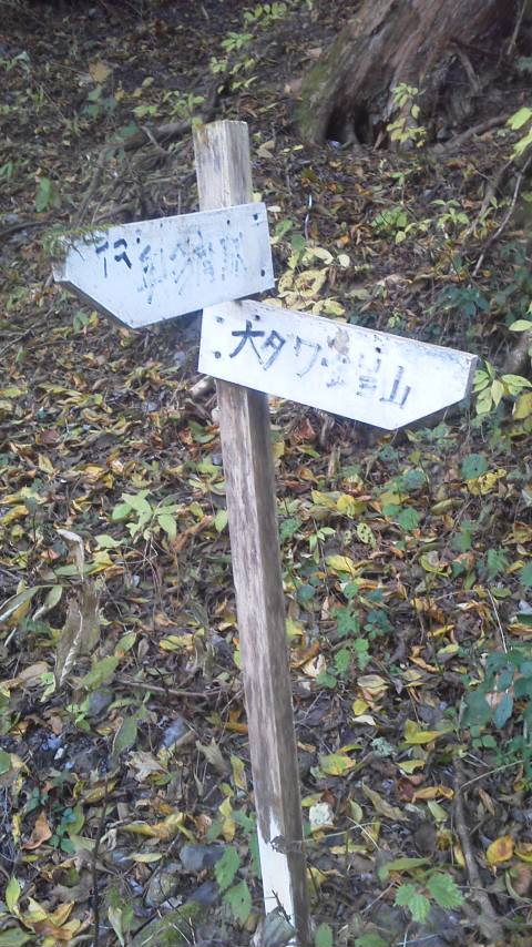 11/19 カブde大岳山 11/19 カブde大岳山