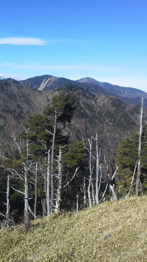 11/25 カブde笠取山 11/25 カブde笠取山