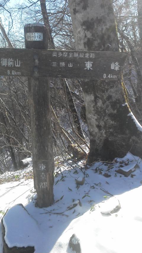 12/9 カブde三頭山 12/9 カブde三頭山