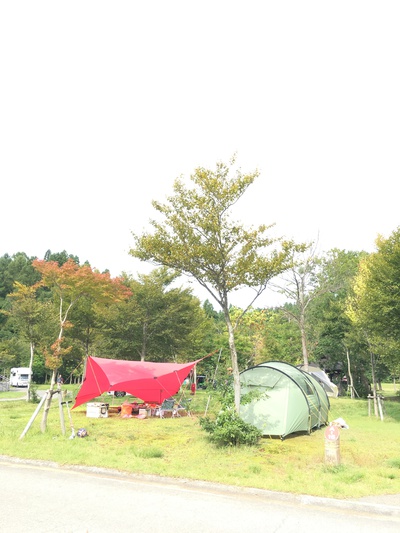追っかけキャンプ〜〜♪