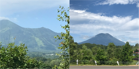 もさもさ家の夏休み ーその①ー