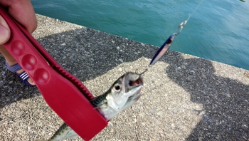 沼津でサバゲー! 沼津でサバゲー!