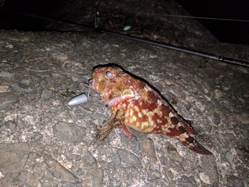 テキサス×ブチ込む×新カサゴマンション テキサス×ブチ込む×新カサゴマンション