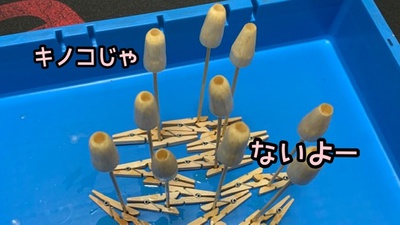 失敗用×とりま10個×逆説の助動詞d( ̄  ̄) 失敗用×とりま10個×逆説の助動詞d( ̄  ̄)