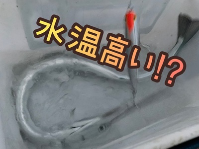 ダツ❗️×ベイト有り×チャンスは有る(≧◇≦) ダツ❗️×ベイト有り×チャンスは有る(≧◇≦)