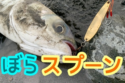 ボラ×ボラボラ×飛んで行け٩( ω )و ボラ×ボラボラ×飛んで行け٩( ω )و