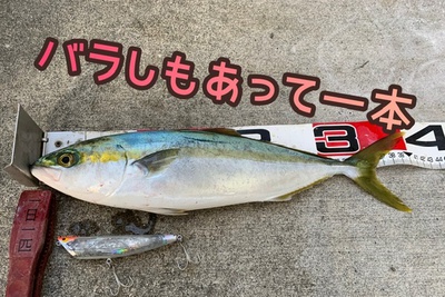 イナダ一本❗️×バラしアリ×ポロリアリ(´∀`)ワラ イナダ一本❗️×バラしアリ×ポロリアリ(´∀`)ワラ