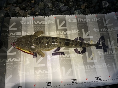 ブレード×マゴチ×カケアガリの攻め方❗ ブレード×マゴチ×カケアガリの攻め方❗