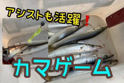 調子良さそう❗️×カマス×早朝ライトゲーム!(^^)! 調子良さそう❗️×カマス×早朝ライトゲーム!(^^)!