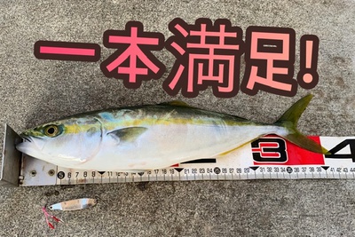 一本❗️×イナダ×着実に(ω)ノヨシ! 一本❗️×イナダ×着実に(ω)ノヨシ!