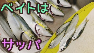 サッパ❗️×パターン化×コレ食べてたのね( *´艸`) サッパ❗️×パターン化×コレ食べてたのね( *´艸`)