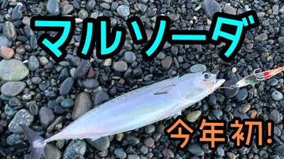 マルソーダ×先にスマ釣っちゃったな×伝説になるスプーン✌︎(ω✌︎ ) マルソーダ×先にスマ釣っちゃったな×伝説になるスプーン✌︎(ω✌︎ )