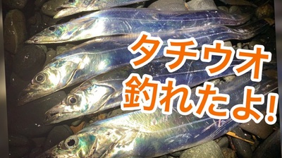 タチウオ×かいまく(*´▽`*)×2020年 タチウオ×かいまく(*´▽`*)×2020年