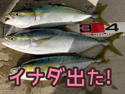 イナダ×釣れた❗️×サイズup( ゚Д゚)ヨッシャー!! イナダ×釣れた❗️×サイズup( ゚Д゚)ヨッシャー!!