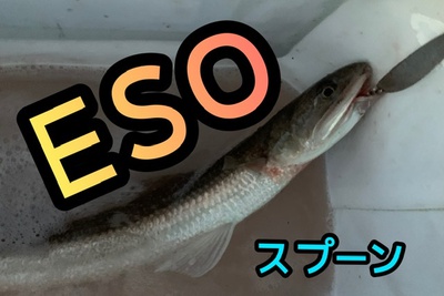 表層でヒット❗️×周囲出し抜いた!?×(≧◇≦)ESO! 表層でヒット❗️×周囲出し抜いた!?×(≧◇≦)ESO!