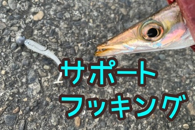 カマス❗️×サポートフック×自作鬼爪(*゚∀゚*) カマス❗️×サポートフック×自作鬼爪(*゚∀゚*)