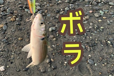 狂気乱舞×ヒラメがジャンプ❗️×でも絶対喰わないト(・・;) 狂気乱舞×ヒラメがジャンプ❗️×でも絶対喰わないト(・・;)