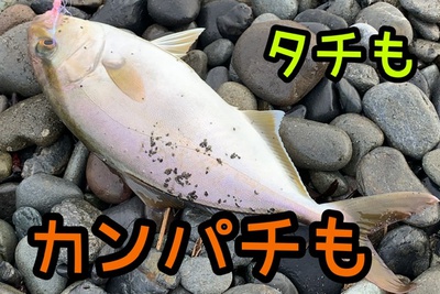 タチウオ×カンパチ×暗い時間も楽しもう(=´∀`) タチウオ×カンパチ×暗い時間も楽しもう(=´∀`)