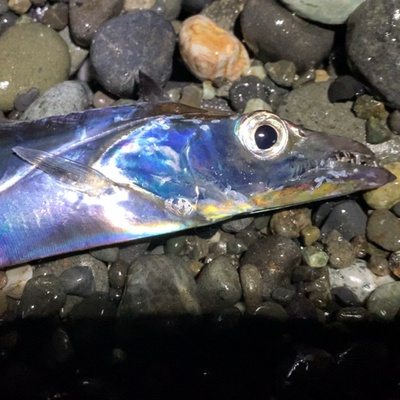 浜タチ×ヘキサー×ハーセン効果あり(((´∀`)))ワクワク 浜タチ×ヘキサー×ハーセン効果あり(((´∀`)))ワクワク