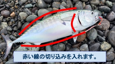 スマ×刺身×炙り(´∀`)まいう〜♪ スマ×刺身×炙り(´∀`)まいう〜♪