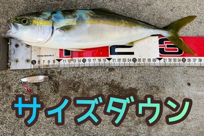 青物継続❗️×サイズダウン×諦めない(≧◇≦) 青物継続❗️×サイズダウン×諦めない(≧◇≦)
