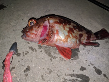 テキサス×ブチ込む×流れの中に テキサス×ブチ込む×流れの中に