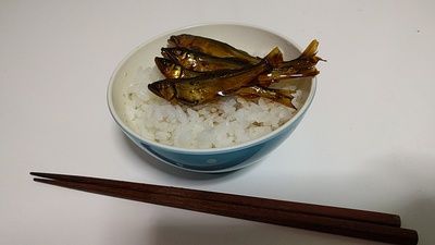 鮎×アユ×エサの釣り。 鮎×アユ×エサの釣り。