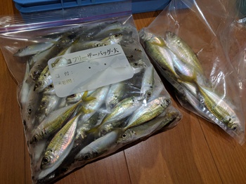 13ナスキー入魂×アジ爆×9月25日の記事 13ナスキー入魂×アジ爆×9月25日の記事