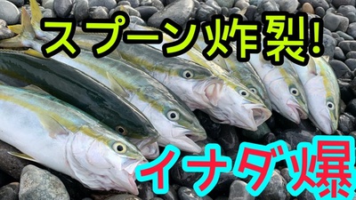 イナダ爆×ソルトスプーン×ベイトはコイツか⁉︎(*≧∀≦*) イナダ爆×ソルトスプーン×ベイトはコイツか⁉︎(*≧∀≦*)