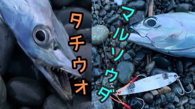 太刀から×近距離ナブラ×APOON投げます٩( ω )و 太刀から×近距離ナブラ×APOON投げます٩( ω )و