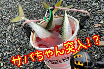トリプルヒット!×サバちゃん×たのしい(*≧∀≦*)! トリプルヒット!×サバちゃん×たのしい(*≧∀≦*)!