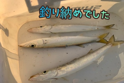 カマス3本❗️×釣り納め×こんな感じでした( *´艸`) カマス3本❗️×釣り納め×こんな感じでした( *´艸`)