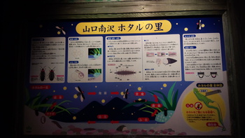 ホタル×ペヤング×オーバー偏光サングラス ホタル×ペヤング×オーバー偏光サングラス