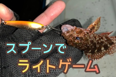 カマスどこ❗️×港でワイワイ×ライトゲーム(*´▽`*) カマスどこ❗️×港でワイワイ×ライトゲーム(*´▽`*)