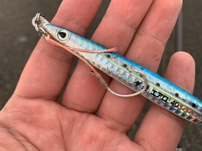 5ヵ月半ぶり×朝マズメ×メーターシイラ ヒット! 5ヵ月半ぶり×朝マズメ×メーターシイラ ヒット!