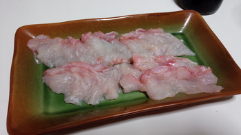 ウツボ×刺身×食べました。 ウツボ×刺身×食べました。