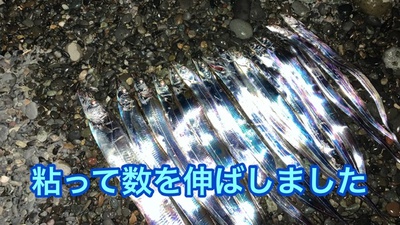タチウオ×船より釣れたw×ショアジギで16本(∩´∀`)∩ タチウオ×船より釣れたw×ショアジギで16本(∩´∀`)∩
