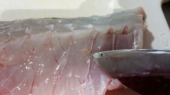 朝サバ×1本×生ぬるい海 朝サバ×1本×生ぬるい海