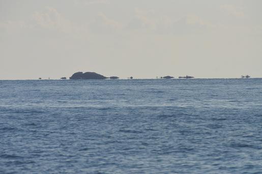 エンドウの花が咲く出羽島 遠見76.0m