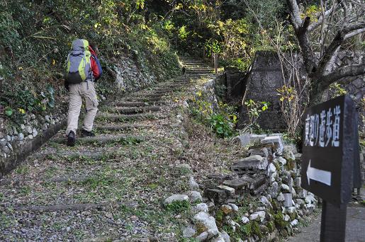 エンドウの花が咲く出羽島 遠見76.0m
